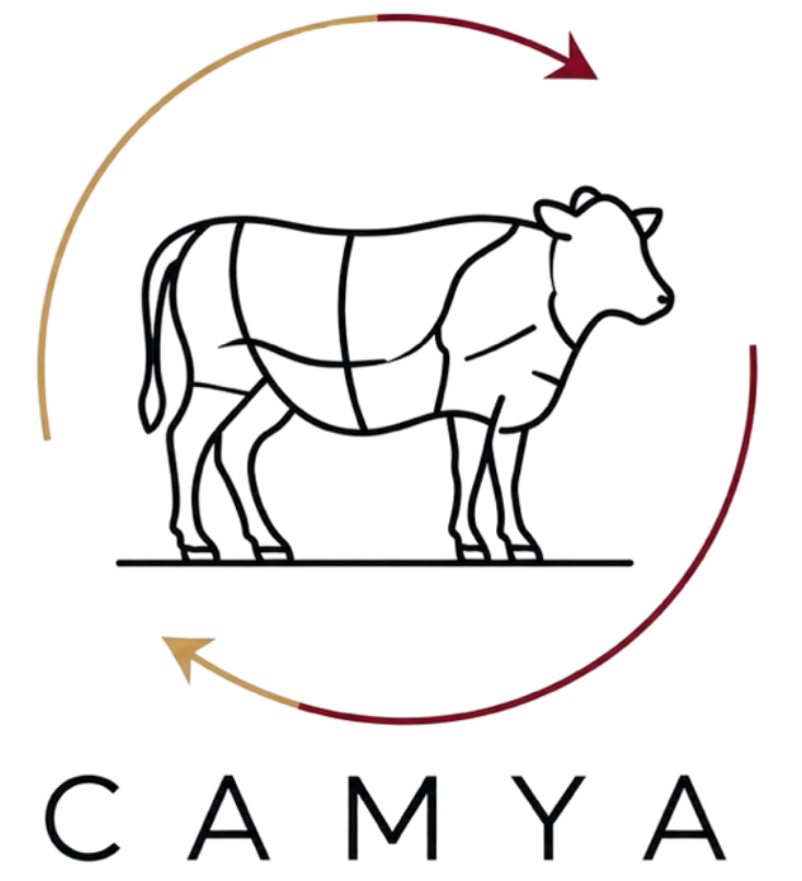 CAMYA